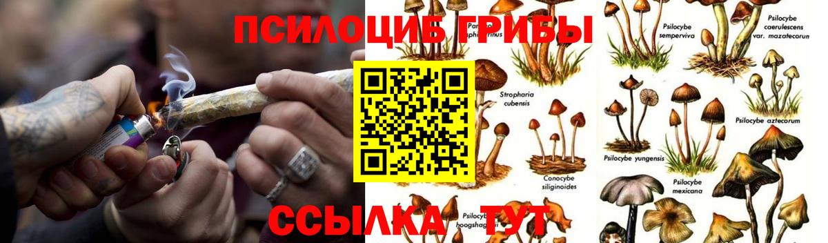 Галлюциногенные грибы ЛСД Воронеж