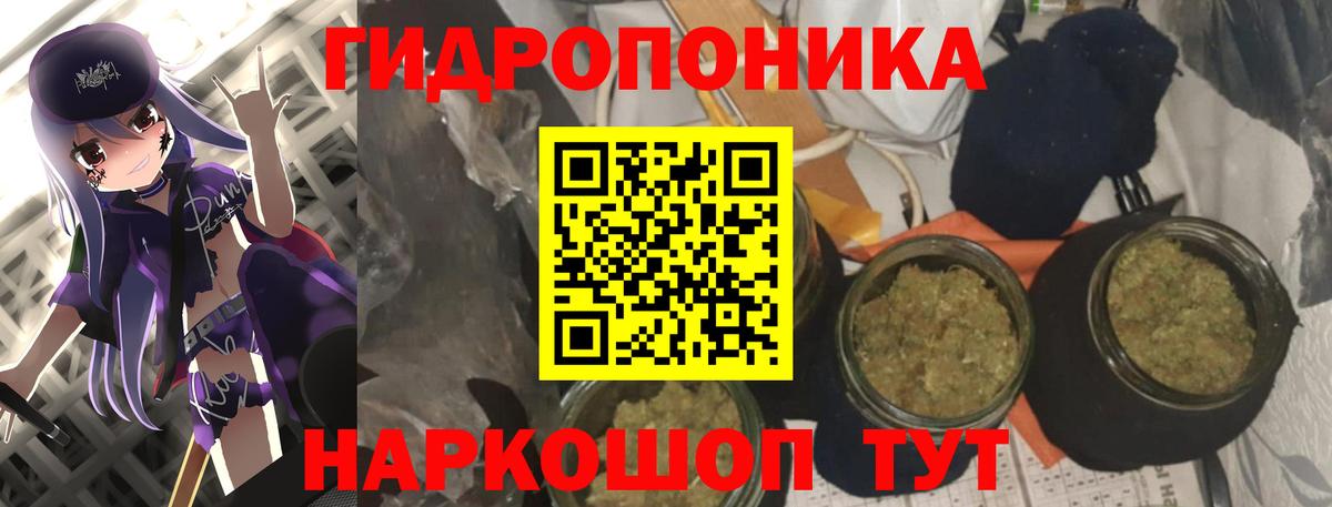 Бошки Шишки планчик Воронеж